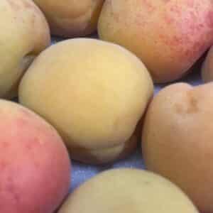 Fruit - Perzik