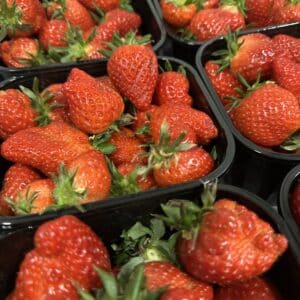 Fruit- Aardbeien