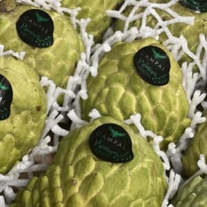 Fruit - Atemoya